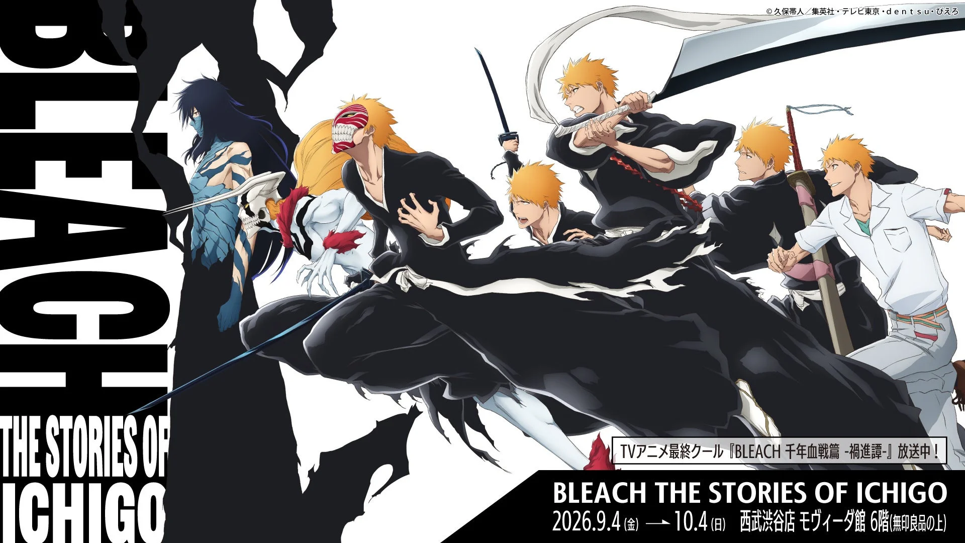BLEACH THE STORIES OF ICHIGO
