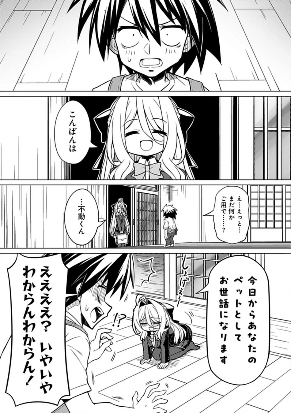 ペットとしてお世話になります