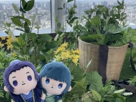 ぬいぐるみと景色