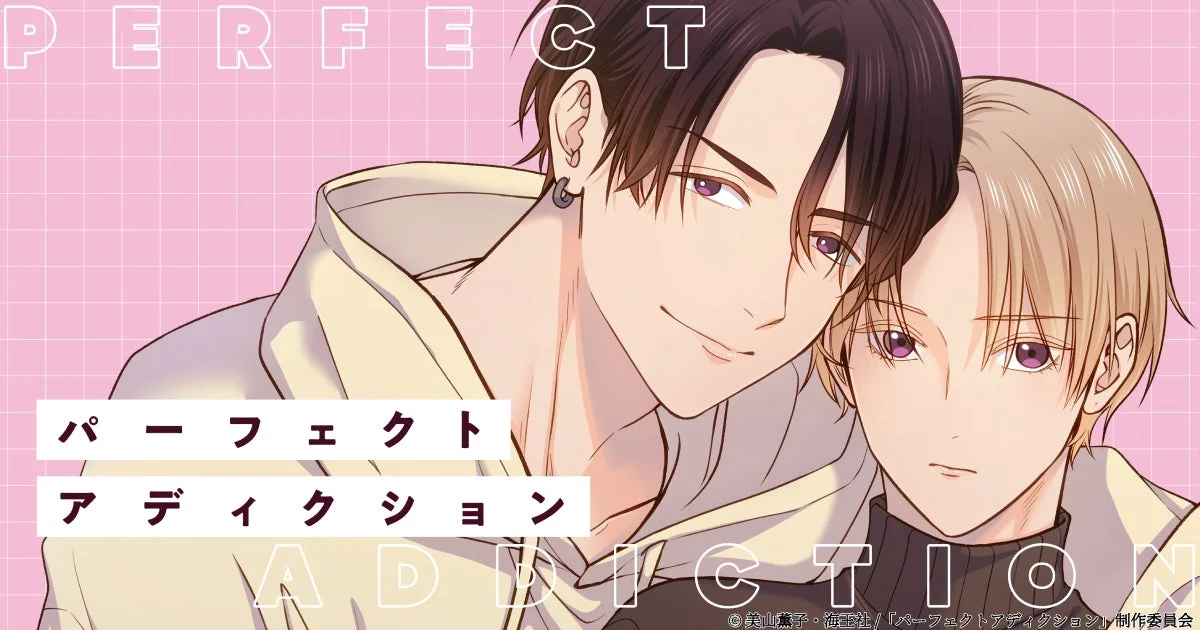 PERFECT ADDICTION パーフェクト アディクション